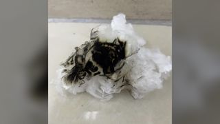 बायोडिग्रेडेबल हाई फ्लेम रिटार्डेंट लियोसेल स्टेपल 1.33D*38MM, स्पिनिंग और नॉनवो के लिए यूनिफ़ॉर्म कट फाइबर
