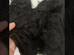 2.5D*64mm देशी पुनर्नवीनीकरण 2D खोखला फाइबर