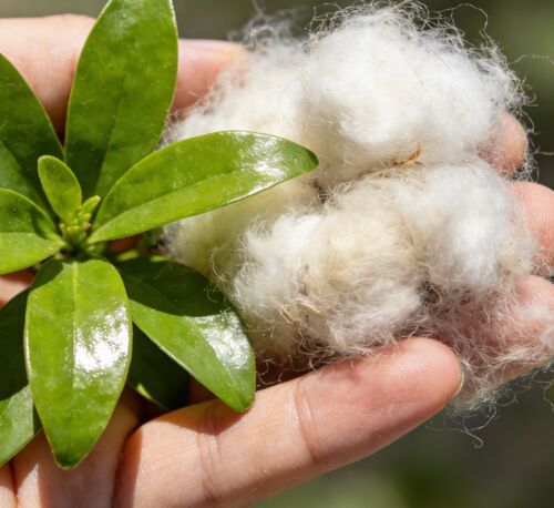 के बारे में नवीनतम कंपनी समाचार काले और सफेद खोखले फाइबरः कपड़ा और औद्योगिक विनिर्माण के लिए गो-टू विकल्प