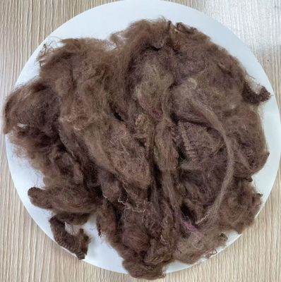 अच्छी कीमत पुनर्नवीनीकरण पॉलिएस्टर स्टेपल फाइबर 2.5 डी 51 मिमी डार्क कॉफी ऑनलाइन