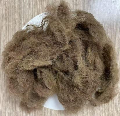 अच्छी कीमत कम बढ़ाव वाला पुनर्नवीनीकरण पॉलिएस्टर स्टेपल फाइबर 25D 65mm गहरा ऊंट रंग ऑनलाइन