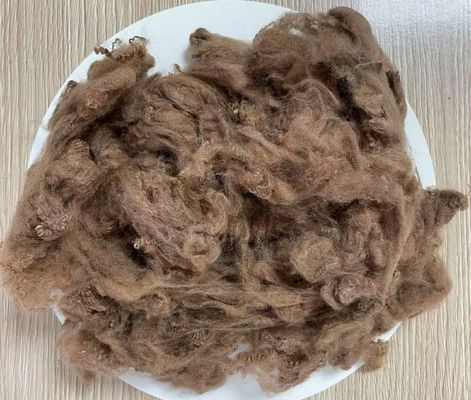 अच्छी कीमत पुनर्नवीनीकरण पॉलिएस्टर स्टेपल फाइबर 2.5D 51mm पीला कॉफी उच्च झुर्रियों का प्रतिरोध ऑनलाइन