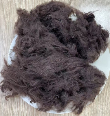 अच्छी कीमत गैर सिलिकॉनयुक्त पुनर्नवीनीकरण पॉलिएस्टर फाइबर 1.5D 38mm गहरा कॉफी ऑनलाइन