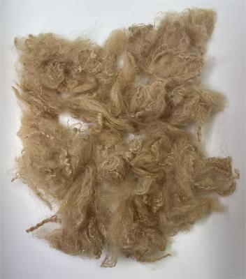 अच्छी कीमत Recycled Polyester Staple Fiber with 38-64mm Fiber Cut Length High Tear Resistance and 0.4% Moisture Regain ऑनलाइन
