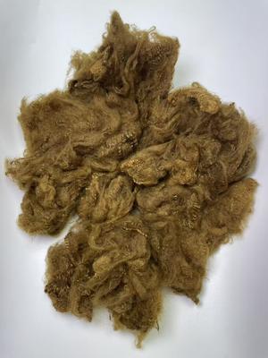 अच्छी कीमत Recycled Polyester Staple Fiber 1.5D Yellow Brown with 0.2% Oil Content for High Durability ऑनलाइन